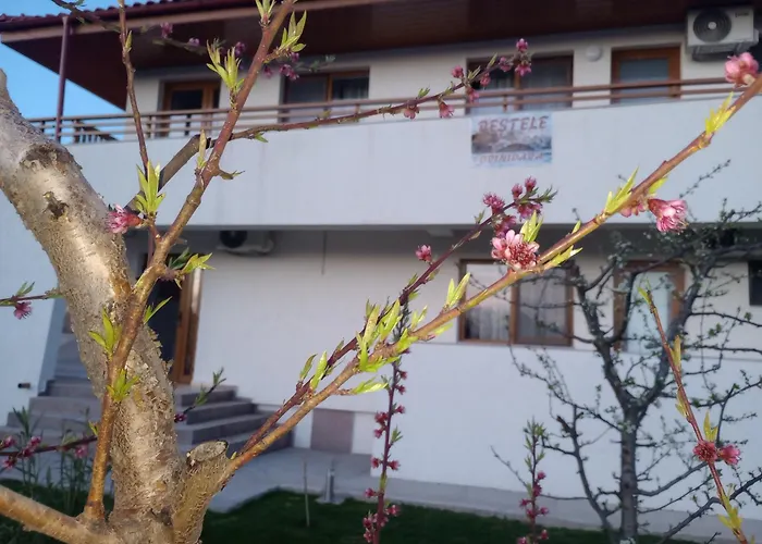 Pestele Ca Odinioara