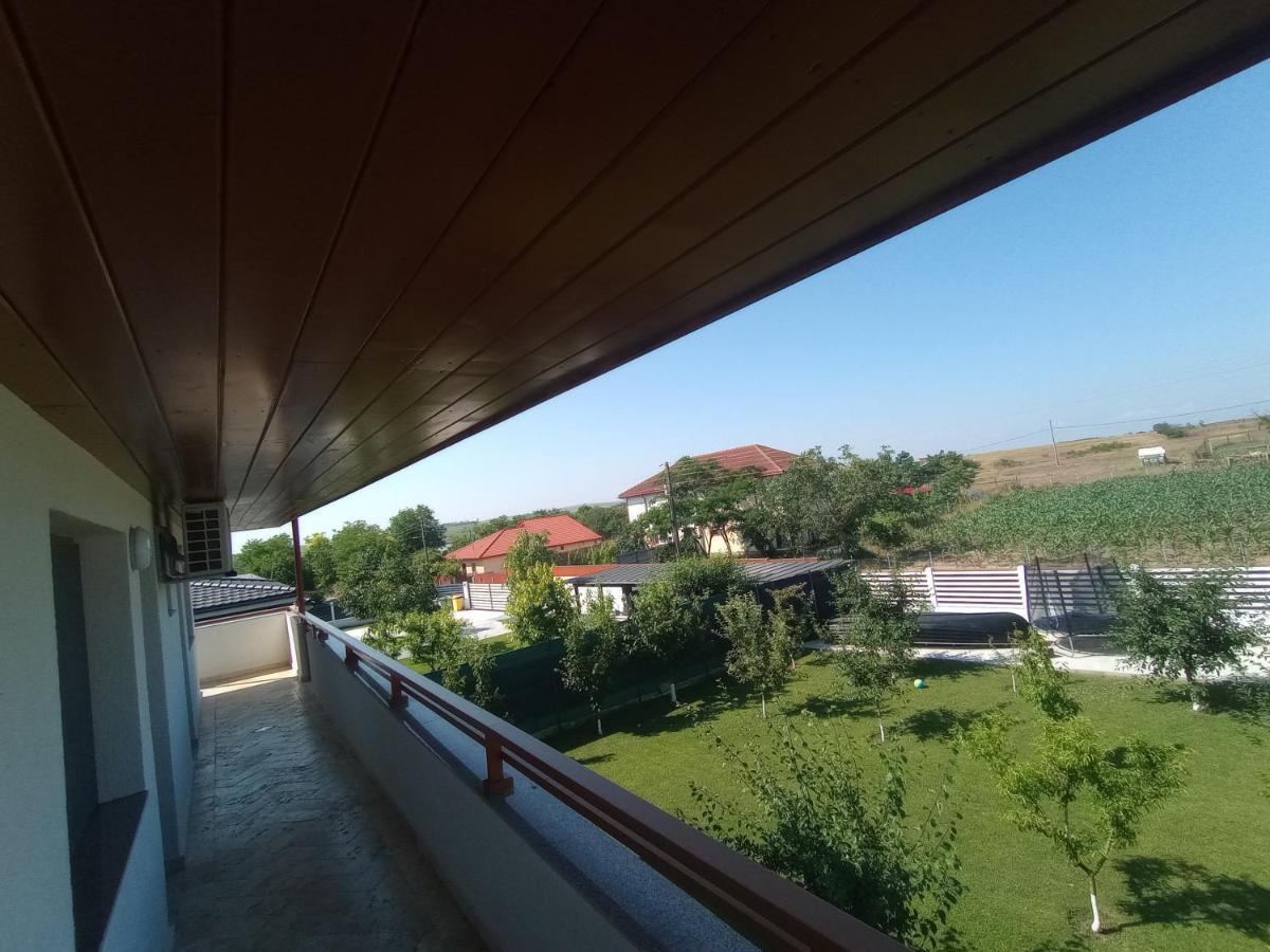 Pestele Ca Odinioara Murighiol