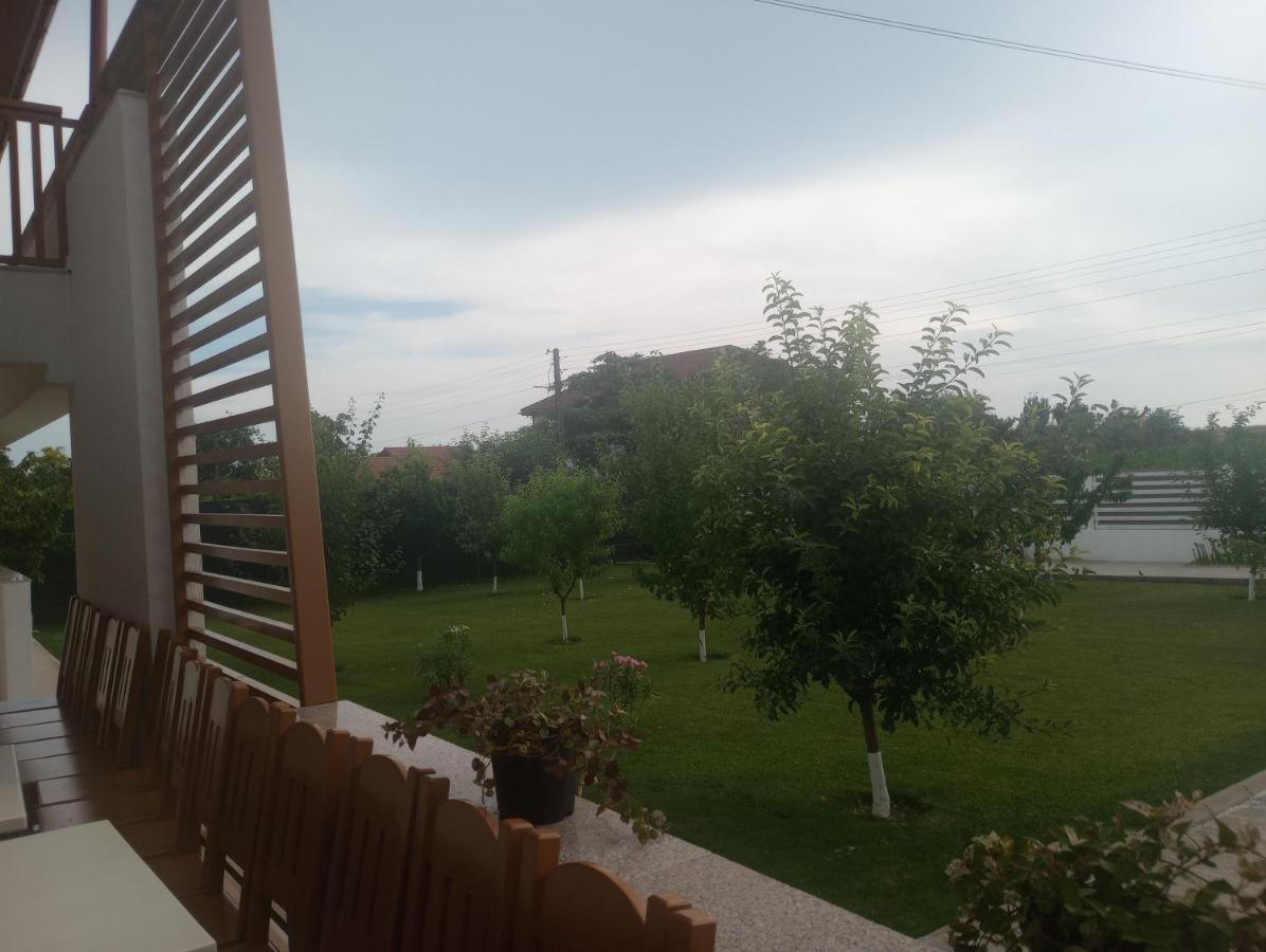 Pestele Ca Odinioara Farm stay Murighiol