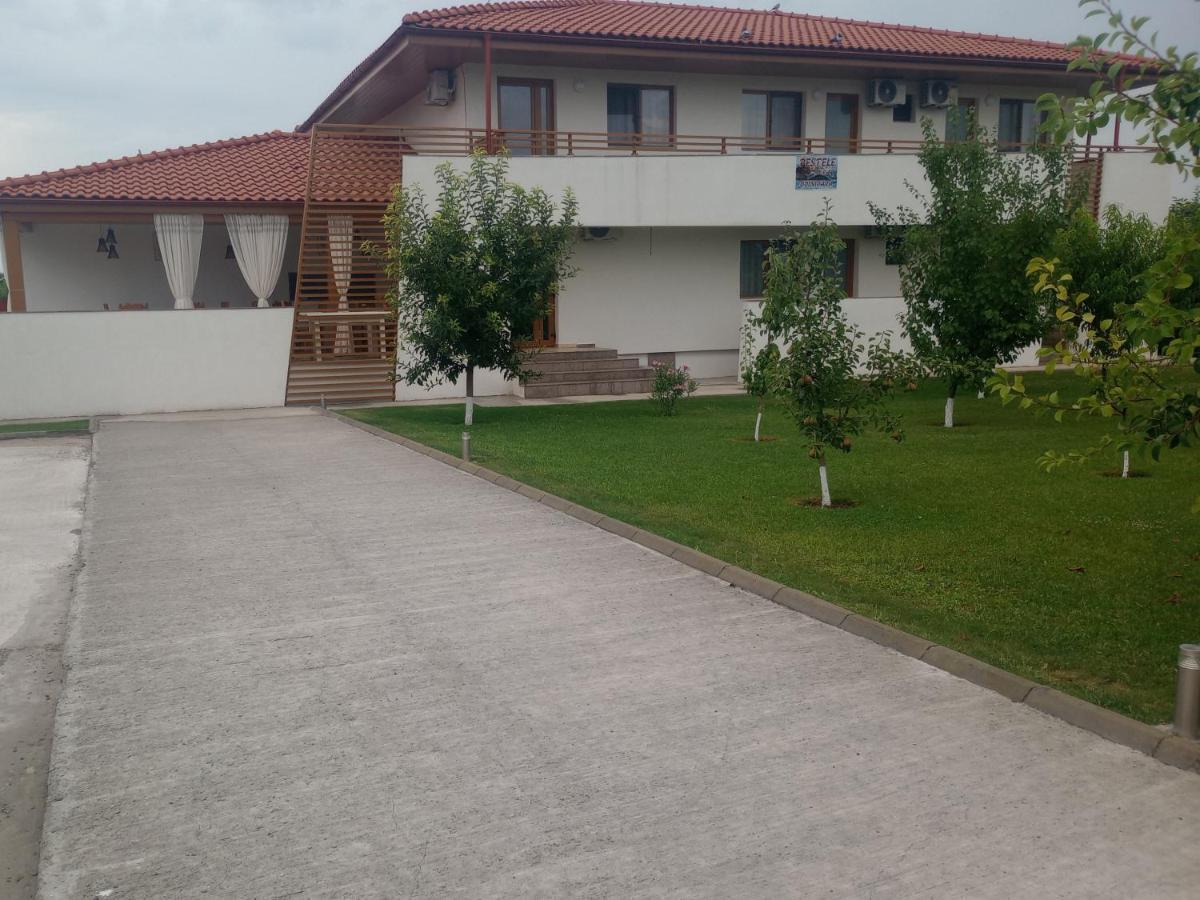 Pestele Ca Odinioara Murighiol