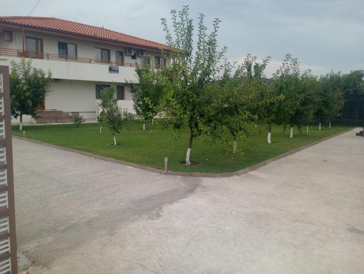 Pestele Ca Odinioara Murighiol