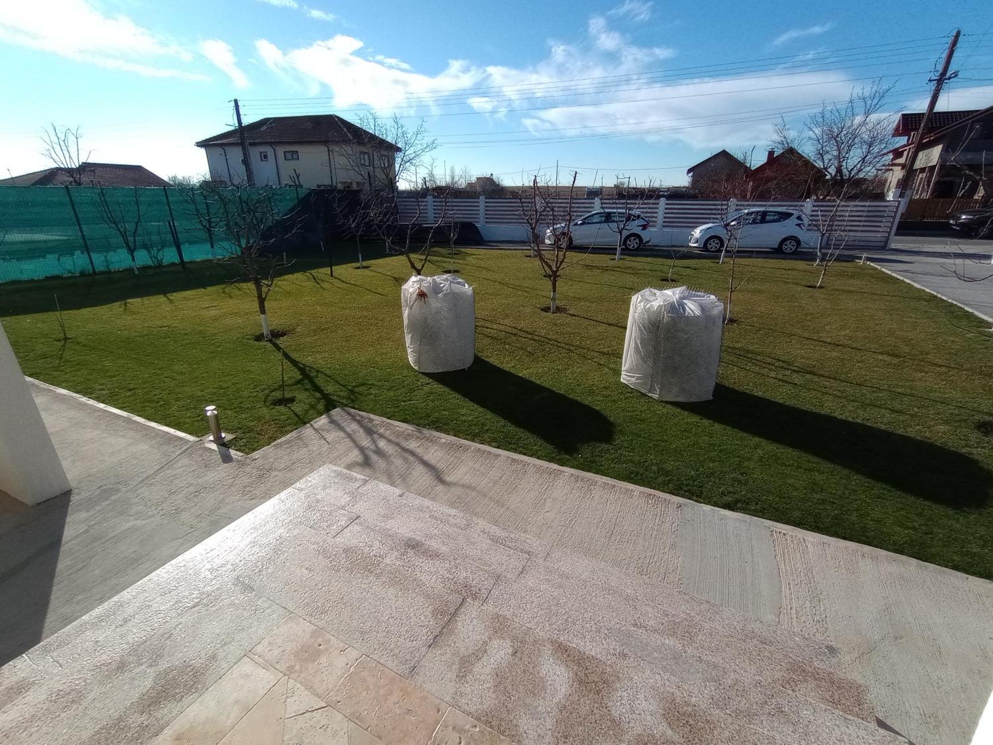Pestele Ca Odinioara Farm stay Murighiol