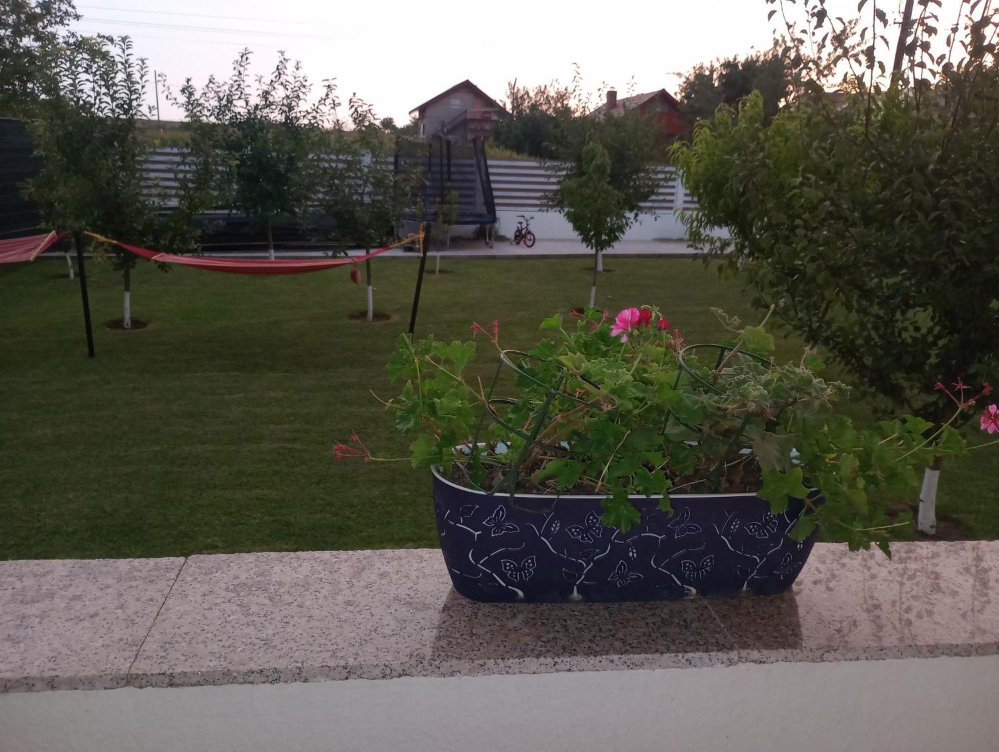 Pestele Ca Odinioara Farm stay Murighiol