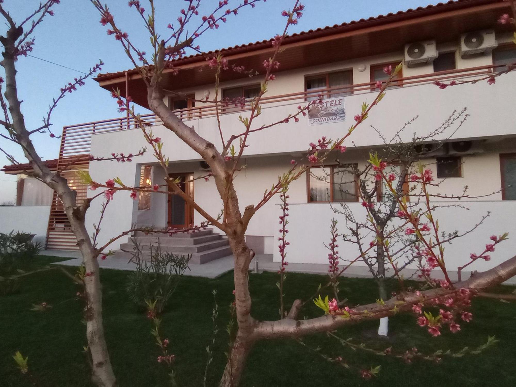Pestele Ca Odinioara Farm stay